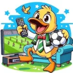 DuckVision