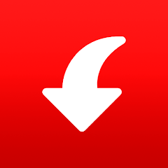 Pinterest Video Downloader Mod APK