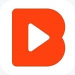 VideoBuddy